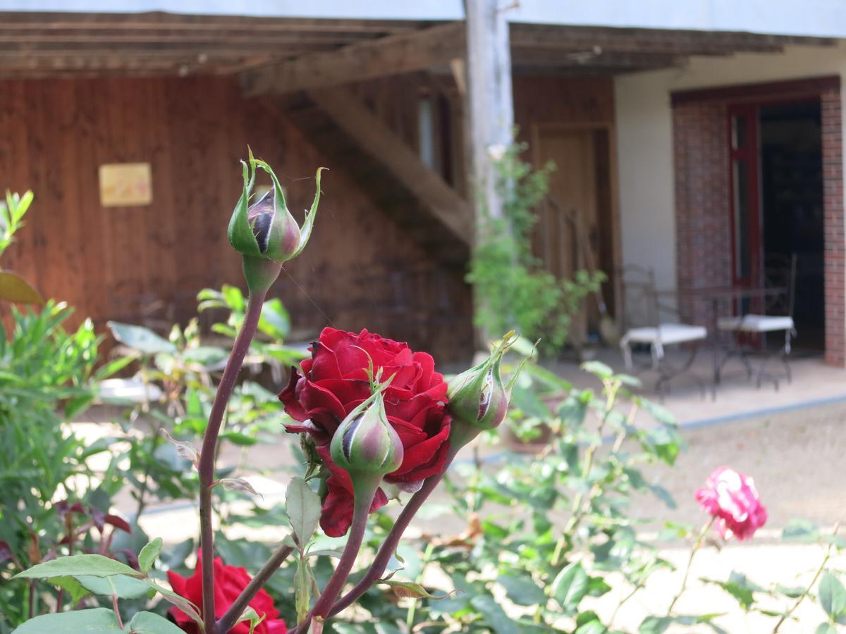 Les Jardins De Lily Hotel Saint-Léonard-de-Noblat Zewnętrze zdjęcie